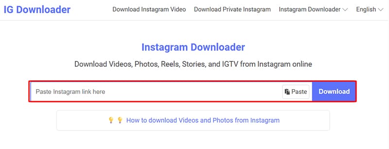 Enter the Instagram link into ig-downloader