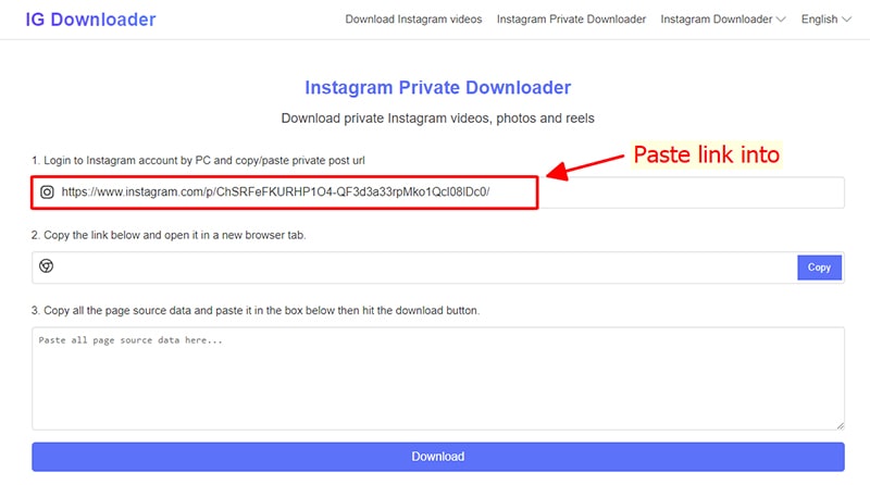 access igdownloader