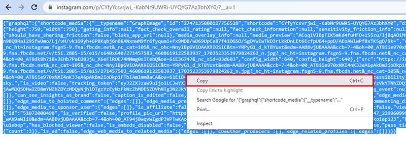 copy all the text you see